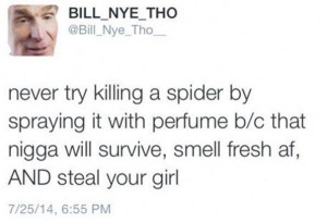 funny quotes about killing spiders