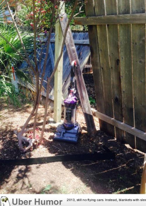 How I kept my dog from leaving through our broken fence.