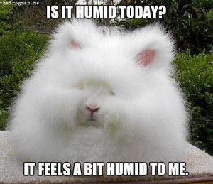 ... in Florida. How about you? How does the humidity affect your hair