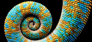 The Chaos of Change: 3 Keys to Leading Through Transitions