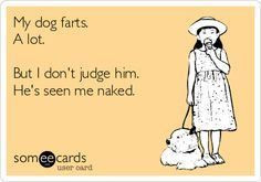 Dog farts. #ecard #humor For more quotes and jokes, check out my FB ...