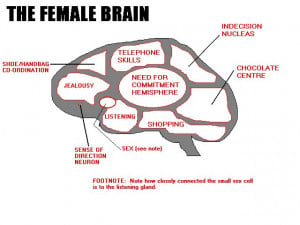 Female Brain Deciphered – Visual Graphic Representation