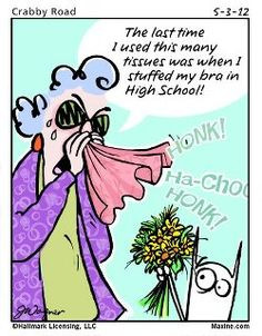 allergy season more aunty acid maxine funny humor maxine allergies ...