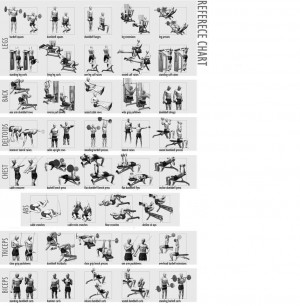 weight lifting chart | for beginners workout chart home workout chart ...