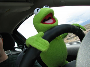 Kermit the Frog Driving Meme