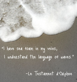 Sea Foam #quote #ocean #beach