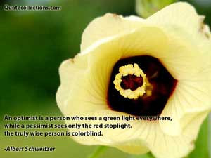 person is colorblind albert schweitzer quotes quote quotations