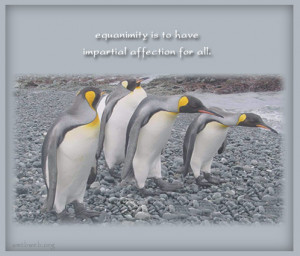 equanimity-love