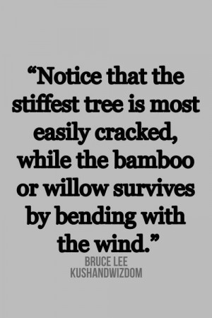 Bruce Lee #quote #inspiring #flexibility apply this to your life