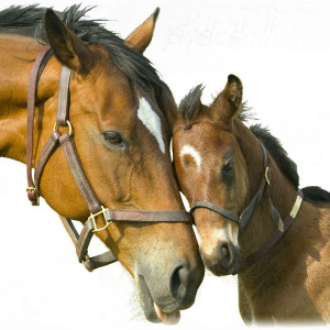 Song Writer Sheffield ~ Record Production Sheffield ~ Recording Studio ...