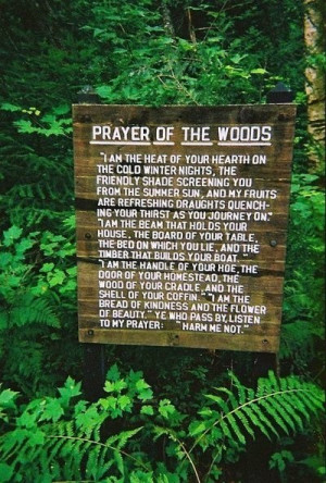 Prayer for the forest :)