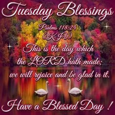 Tuesday Blessings. More