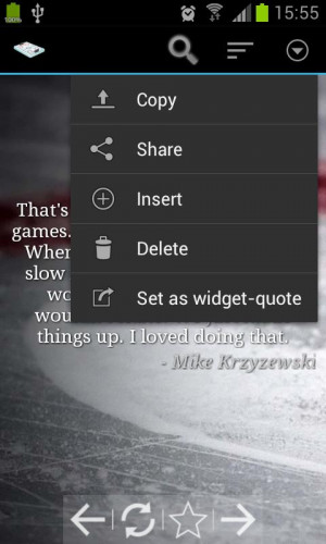 Hockey Quotes - screenshot
