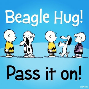 Beagle Hug
