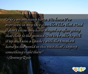 He's an amazing horse. No horse I've