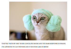 Cute Animals With Captions To Make You Smile (15 Pics)