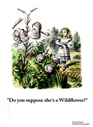 Do You Suppose She's A Wildflower?- | Alice in Wonderland Quotes ...