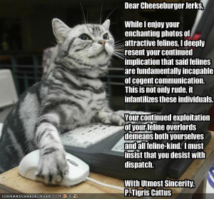 funny-pictures-a-letter-from-a-very-intelligent-cat.jpg