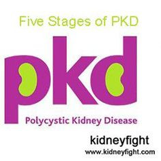 Stages of Polycystic Kidney Disease | Stages of Polycystic Kidney ...