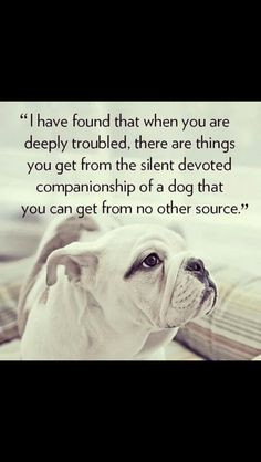 ... devoted companionship of a dog that you can get from no other source