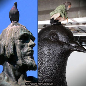 Pigeon+on+Statue.jpg
