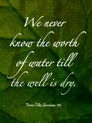 ... Never Know The Worth Of Water Till The Well Is Dry - Environment Quote