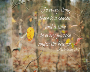 Displaying 17> Images For - Fall Pictures With Scripture...