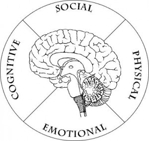 ... learners' 4 major brain systems: social, emotional, cognitive and