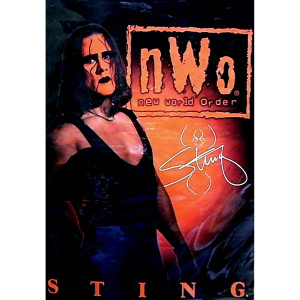 WCW Sting