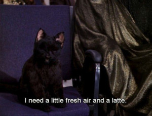 ... 26 Life Lessons You Learned From Salem Of 
