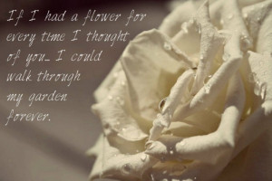 The White Rose Love Quote