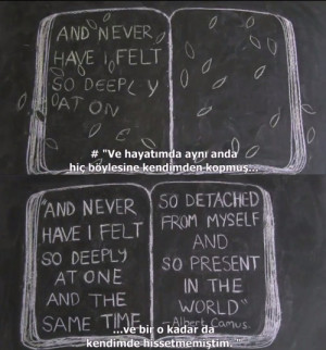 ... bir film oldu. yapabilsem filmi bütün olarak buraya koyardı