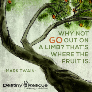 ... Why not go out on a limb? That’s where the fruit is.” - Mark Twain