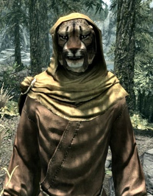 ... Skyrim, Morrowind and Oblivion. What are your favorite M'aiq quotes