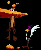 Wile E Coyote and Road Runner