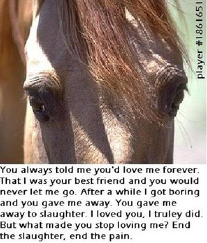 Here are the facts about slaughter - these are by no means all of them ...