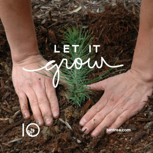 Make a plan, execute it with precision and resilience, then go with ...