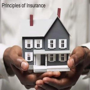 House Insurance Quotes