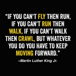 Savvy Quote: ” If You Can’t Fly Then Run…