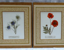 Real Pressed Flower Botanical Herbarium Specimen Art Collection Set 11 ...