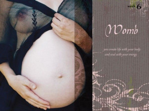 Look Inside | Sacred Pregnancy