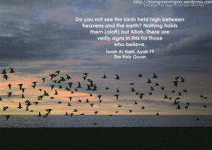 do not you see the birds held high between havens and the earth ...