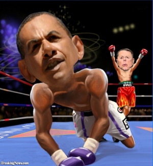 Funny Bully Beatdown Nra Obama
