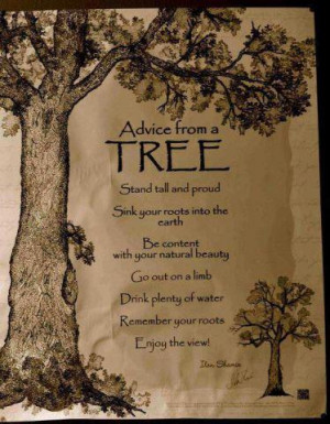 TREE.. | Share Inspire Quotes – Love Quotes | Funny Quotes | Quotes ...