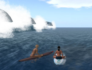 Funny Surfing (60)