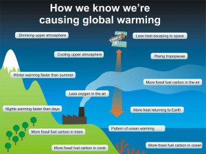 INFOGRAPHIC: How We Know We’re Causing Global Warming