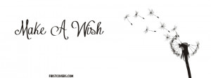 make a wish , misc , wish , covers