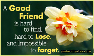 good friend is hard to find… A Sweet Good Morning Dear Friend