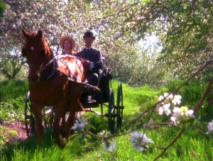 Anne of Green Gables.. seriously one ofmy favorite books/movies ever.