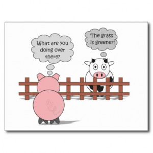 Greener Grass Funny Rudy & Moody Cartoon Cow & Pig Postcard